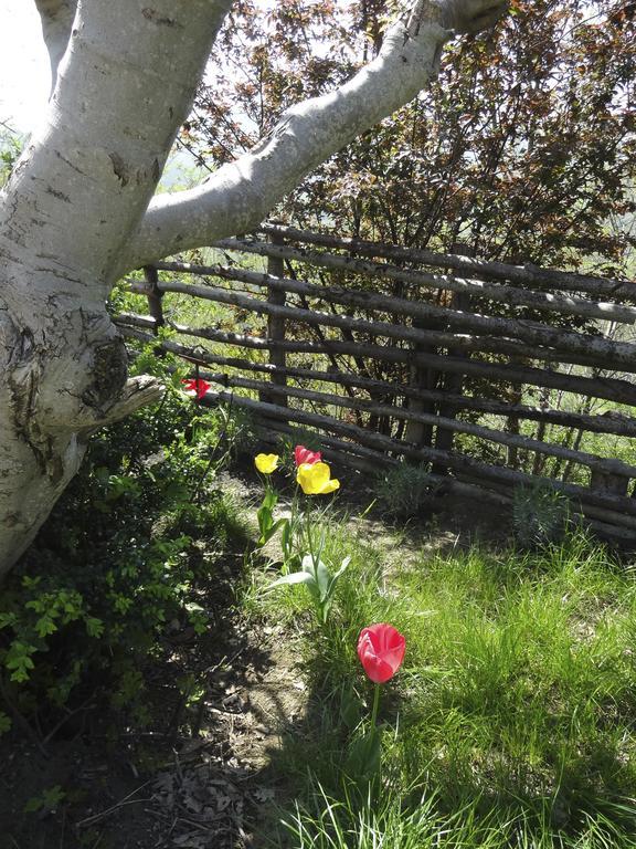B&B Ca Biocco Sogliano al Rubicone Екстериор снимка