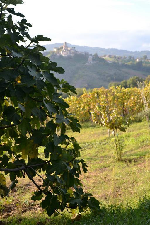 B&B Ca Biocco Sogliano al Rubicone Екстериор снимка